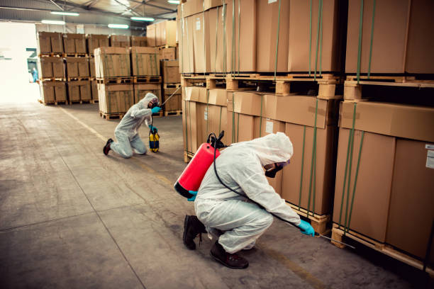 Wasp Removal Services in Goodrich, MI